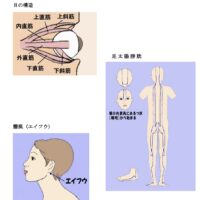 AGC(旧旭硝子)健康保険組合様へのオンライン配信セミナー開催